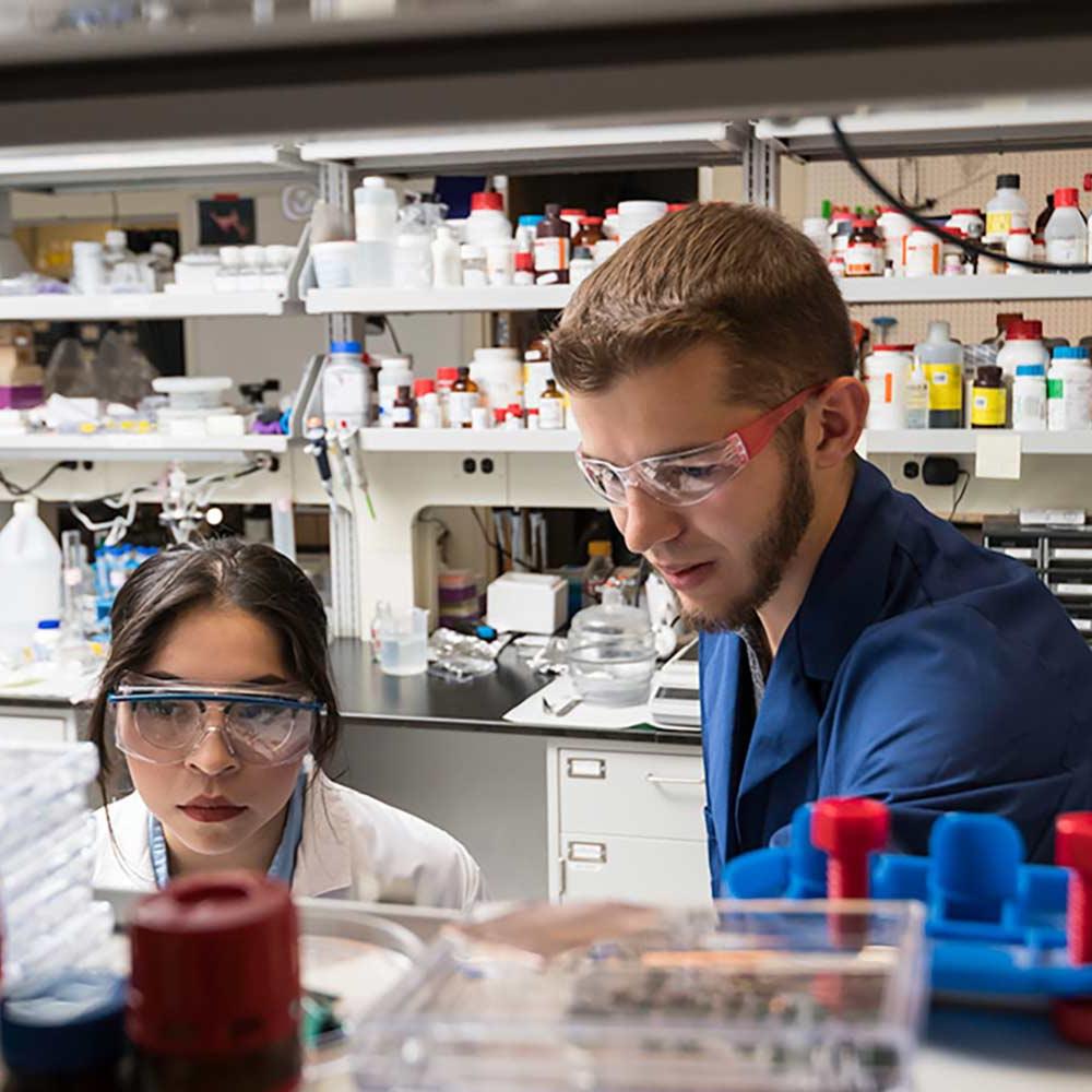 Researchers work in the lab